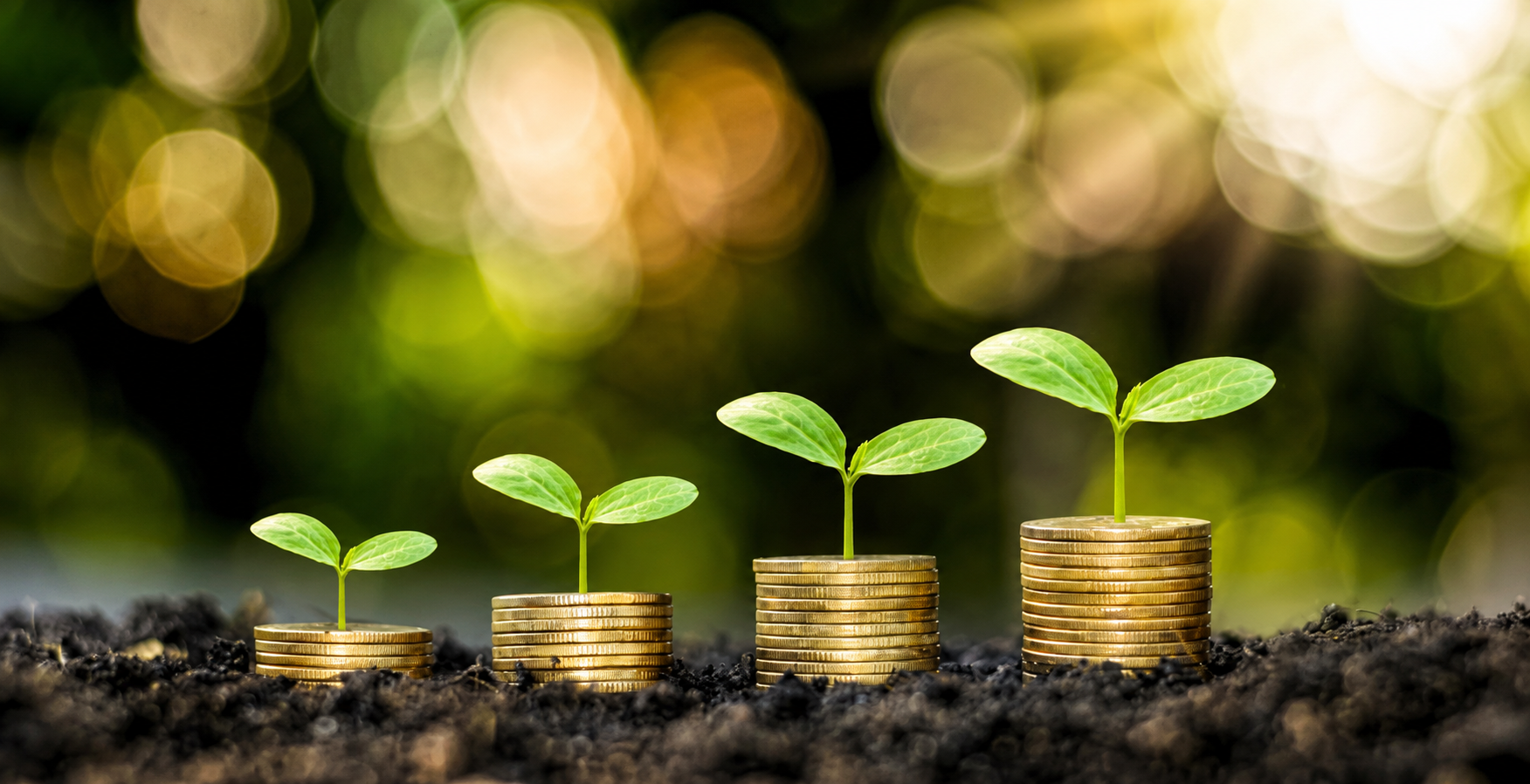 Análise financeira e ROI de estratégias regenerativas
