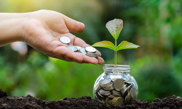 Investimento e regeneração no agro